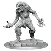 WizKids WZK90425 Dungeons & Dragons Nolzurs Marvelous Ice Troll Female W16 Miniatures