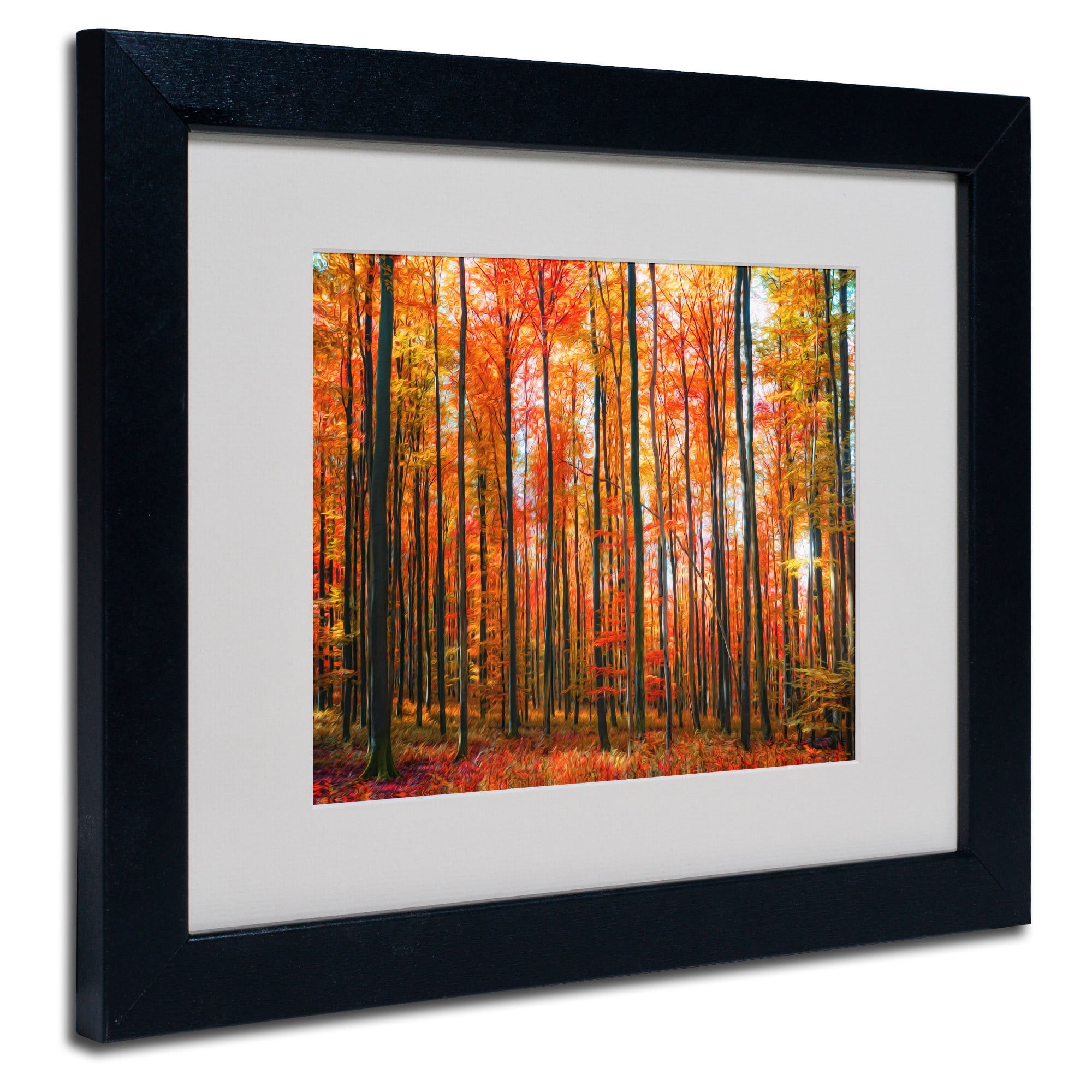 Trademark Fine Art "Dominated" Canvas Art by Philippe Sainte-Laudy, Wood Frame