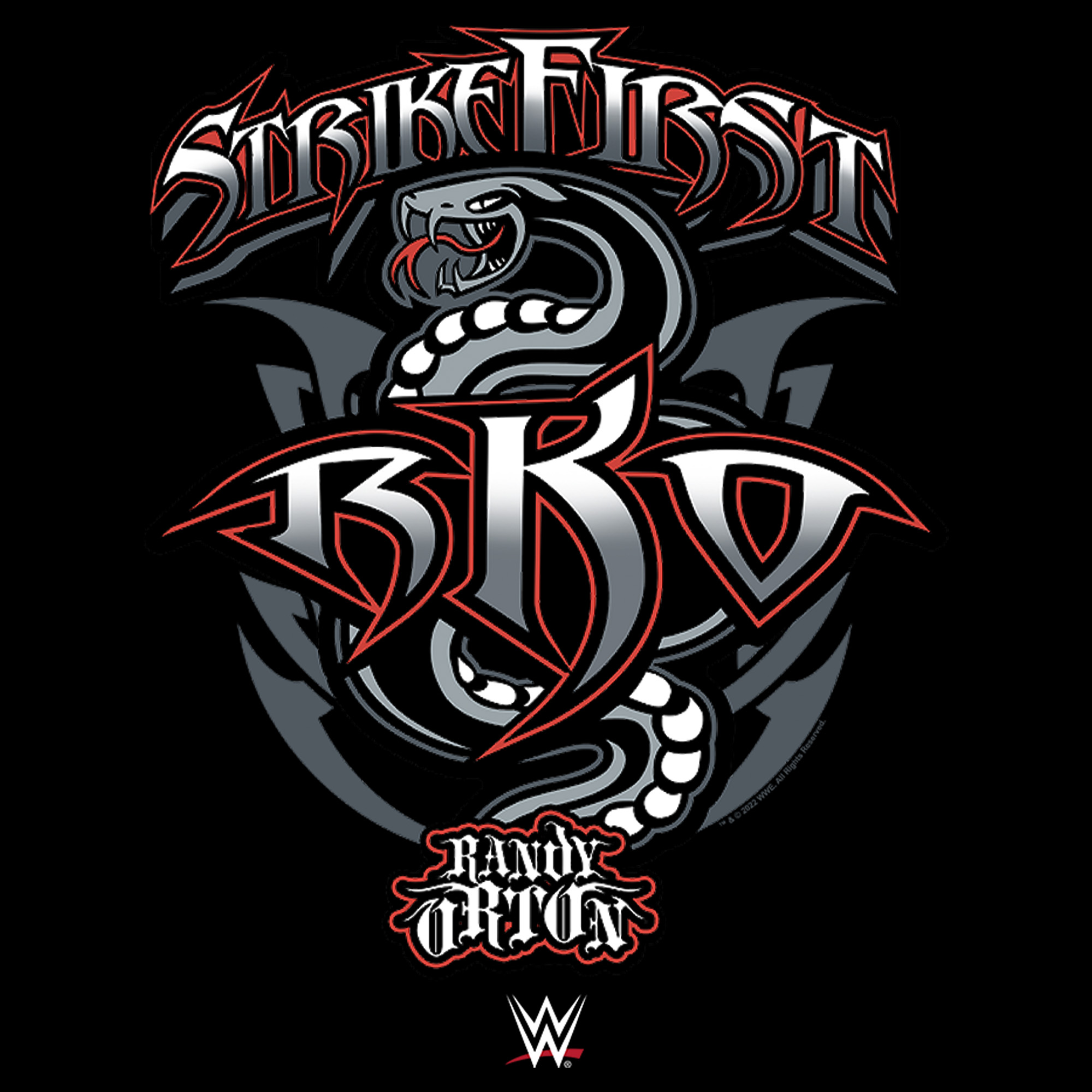 Boy's WWE Randy Orton Strikefirst RKO Graphic Tee Black X Small 