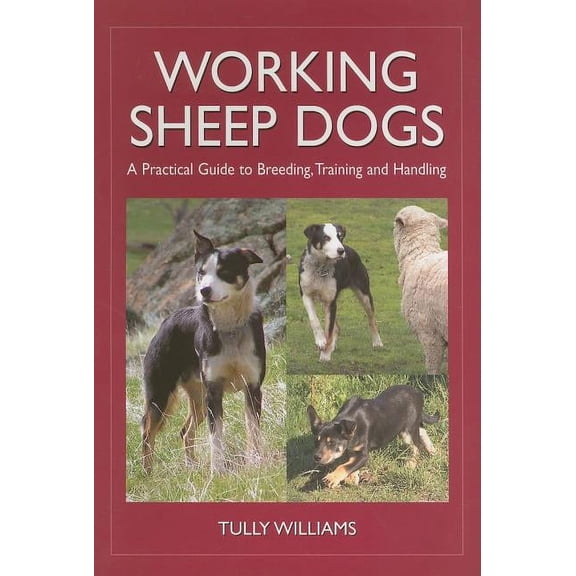 Landlinks Press Working Sheep Dogs: A Practical Guide to Breeding, Training and Handling, (Paperback)