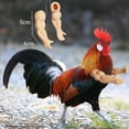 thumbnail image 2 of Juguetes de brazos de pollo musculosos para que los pollos usen, disfraz divertido, juguete de brazos de lucha con puños para fiesta temática de broma de mascotas, 2 of 6