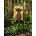 thumbnail image 2 of Carolines Treasures BB9505GF Chocolate Labrador Fall Flag Garden Size, 2 of 3