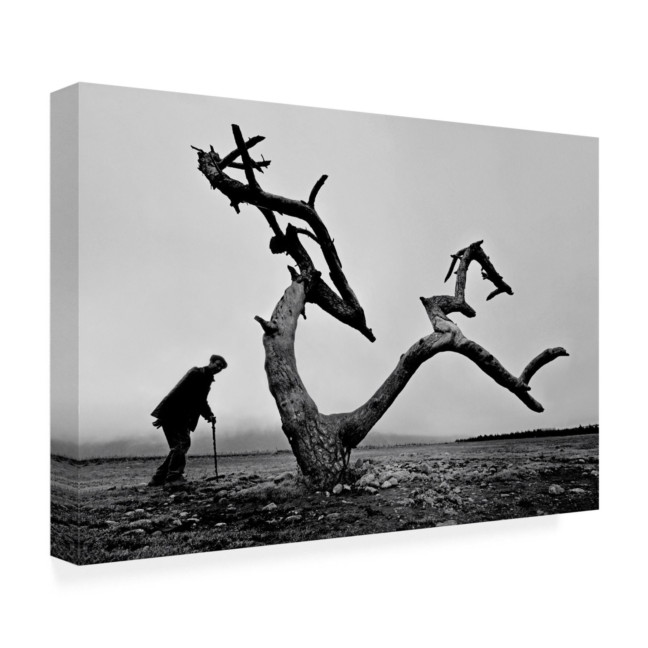 Canvas Wall Art - Wei Tang 'Old Man And Tree' Wall Art for Living Room, Bedroom, or Office D?cor by Trademark Fine Art - 32 x 22 Inches
