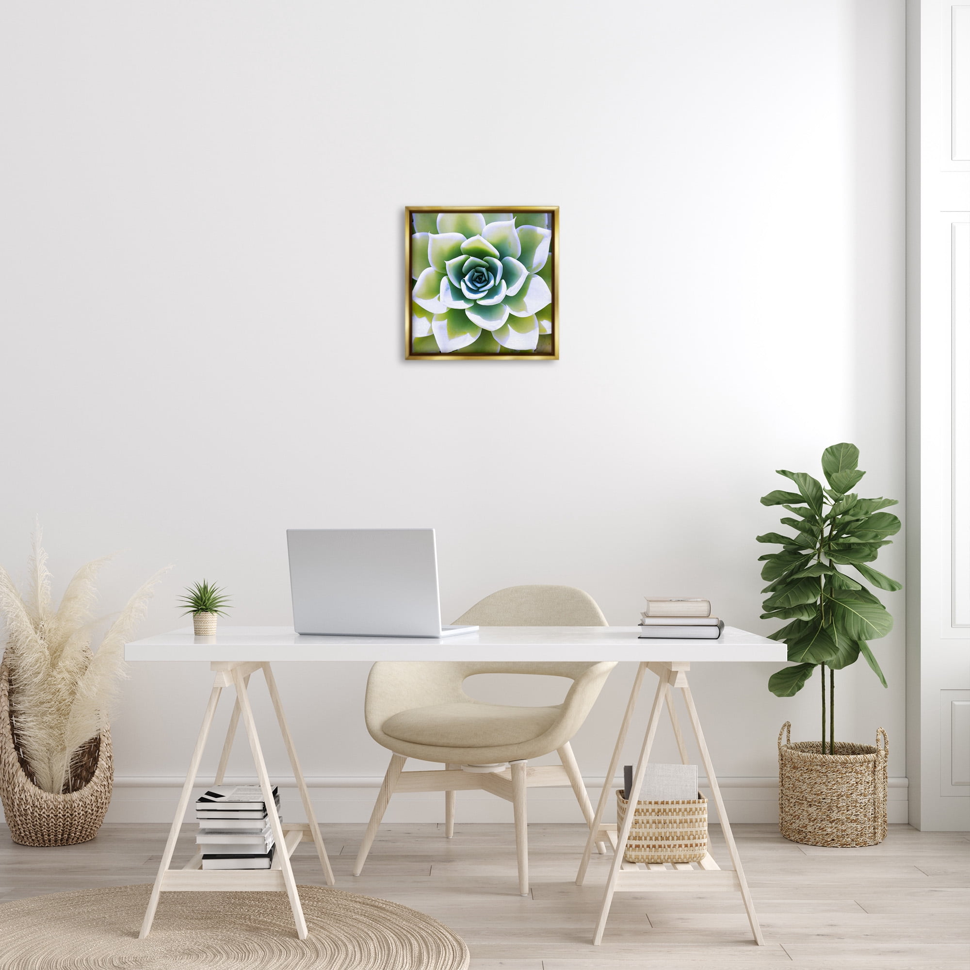 Stupell Industries Green Succulent Nature Close Up Botanical & Floral Photography Gold Floater Framed Canvas Art Print Wall Art, 18 x 18
