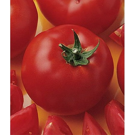 Early Girl Tomato Plant- Two (2) Live Plants - Not Seeds -Each 5