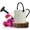 Off-White & Black, variant on Plexon 1 Gallon Metal Watering Can Outdoor, Flower Plant Gardening Garden Large Galvanized Watering Can Pot Pitcher, Steel Black Handles and Removable Spray Spout, Silver