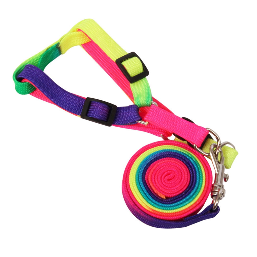 Dog Leash Colorful Creative Dog Harness Leash Puppy Training Leash with