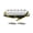 White, variant on Lerpwige 1Pc Single Coil Pickup Guitar Neck/Middle/Bridge Pickup Electric Guitar Pickup