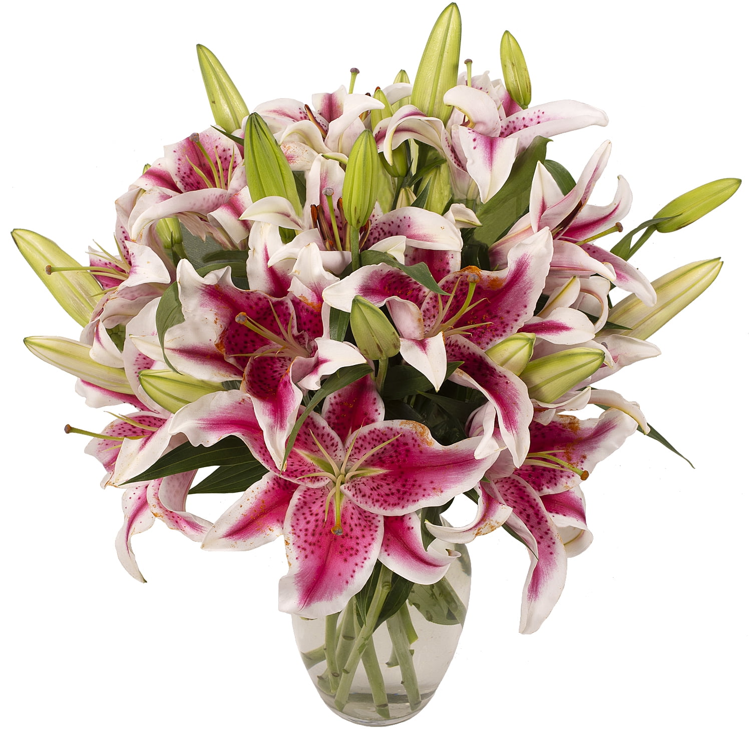 Stargazer Lilies, 7 Stems, Vase Included - Walmart.com - Walmart.com