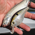 thumbnail image 3 of 6th Sense – Cloud 9 Series MiniMag Silent Squarebill Crankbait Bass Fishing Lure, 3 of 6