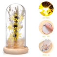 thumbnail image 2 of Mobestech LED Microlandschaft Glass Dome Light Mini Artificial Sunflower Lamp with Glass Cover Desktop Ornament (Yellow), 2 of 7