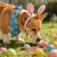 thumbnail image 6 of NWOKYZGH Set of 2 Easter Costume Bunny Ears Headband Cute Bandana Funny Easter Puppy Toy Kit Outfit Eggs Scarf Bibs for Holiday Pet Puppy Party Accessory, 6 of 6