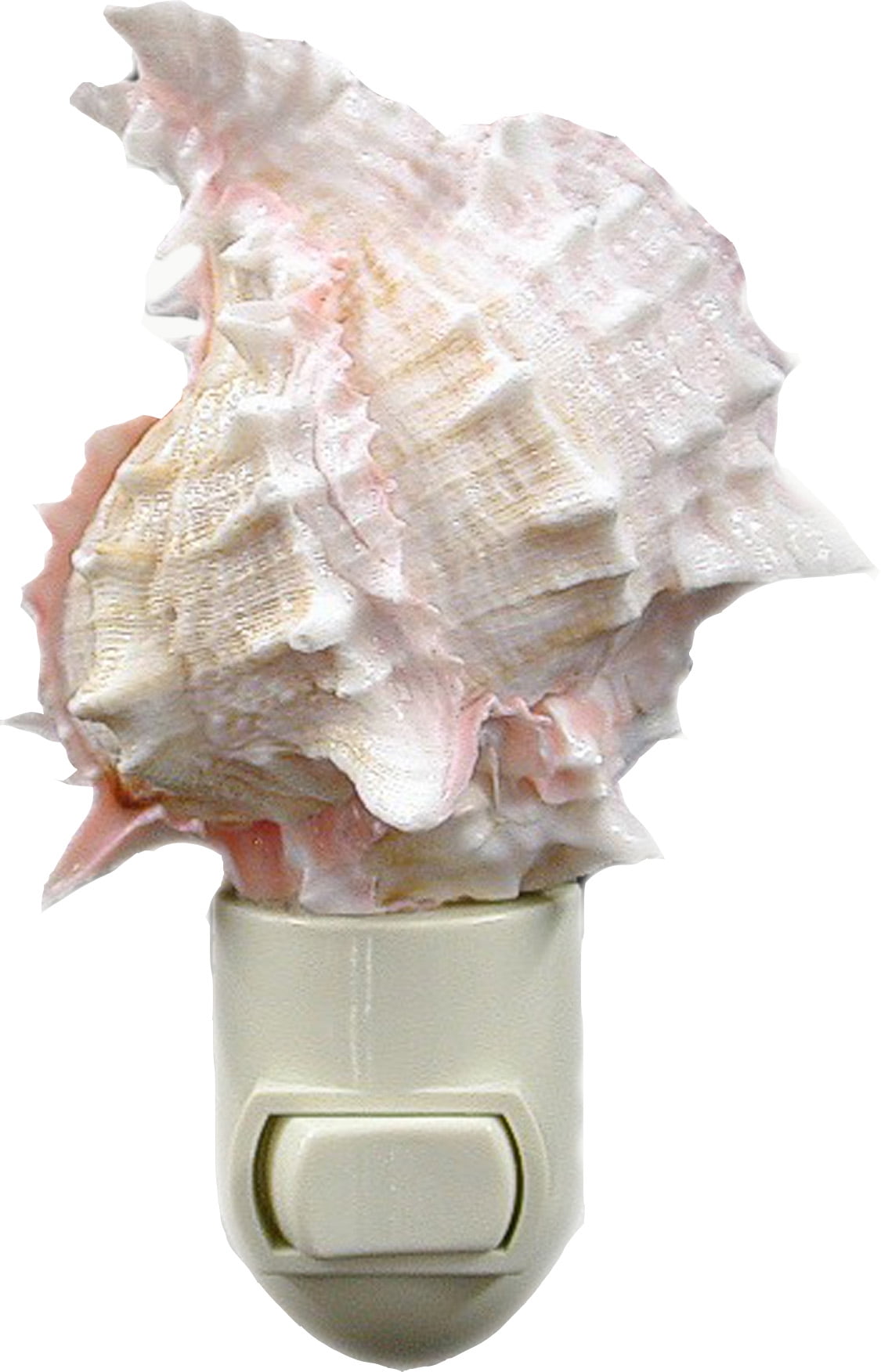 3-Pack: Seashell Night Light Real Pink Murex Shell Beach Decor w. on/off switch Beautiful Coastal Cottage