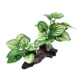 thumbnail image 4 of Plantas artificiales para , decoración de pecera, paisajismo, escondites de peces, decoración de , plantas artificiales para terrario de, 4 of 8