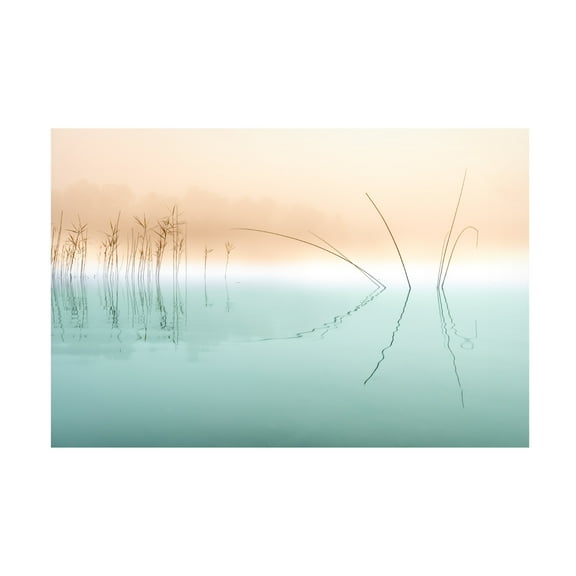Trademark Fine Art Ulrike Eisenmann Silence Canvas Wall Art