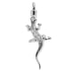 thumbnail image 2 of cineraria cineraria cineraria de cremación Joyería de ceniza Gecko Colgante Medallón de funerarios, 2 of 7