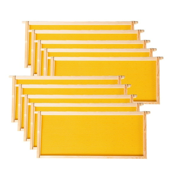 Deep Brood Beehive Frames with Wax Foundation,10 Pack Honey Bee Frames with 100% Beeswax Coated Food Grade Foundation Sheets, 9-1/8-Inch(Yellow)