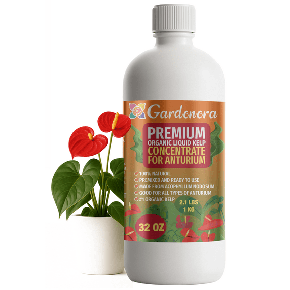 ⭐ GARDENERA Premium Organic Seaweed & Kelp Superfood for ANTHURIUM Plants - 32 oz - Liquid Kelp Fertilizer Concentrate (Makes 180 Gallons)