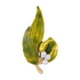 thumbnail image 2 of Broche de hojas, broche de solapa para mujer, decoración de boda de aniversario, hoja Verde, 2 of 9
