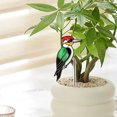 thumbnail image 5 of Ovzne Acrylic Potted Plant Insert Bird Planter Decoration On Clearance, 5 of 5