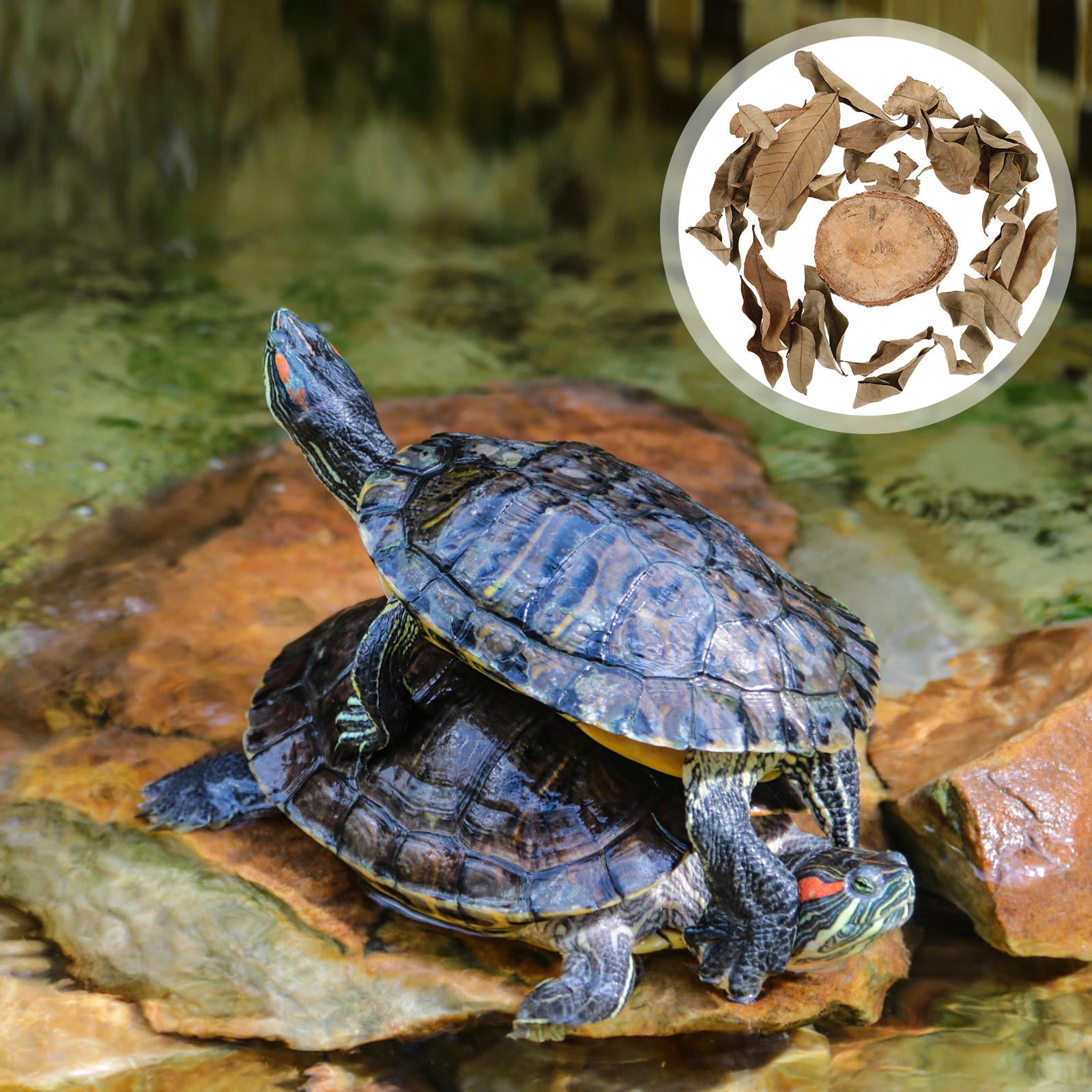 LOLIPPYY Turtle Basking Platform Stump Wood Climbing Decor for Aquariums