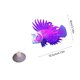 thumbnail image 3 of Decoración de acuario Adorno artificial para peces león ventosa montaje Glow In Dark Luminoso fluorescente de silicona decoración para acuarios Aquascape, 3 of 6