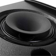 RCF NX 10-SMA Active Coaxial Stage Monitor