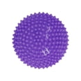thumbnail image 2 of Balance Step Hedgehog Balance Pod Gross Motor Development Balance Training Toy Violet, 2 of 9