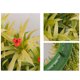 thumbnail image 4 of Spring Simulation Berry Flower Wreath Simulation Flower Mall Window Decoration Outdoor Courtyard Door Hanging, 4 of 9
