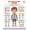 Circulatory System, variant on JELLY BEAN GENIUS Circulatory System Poster – Laminated Dry-Erase Human Anatomy Chart for Classroom & Homeschool | Heart Science Wall Poster 8.5x11