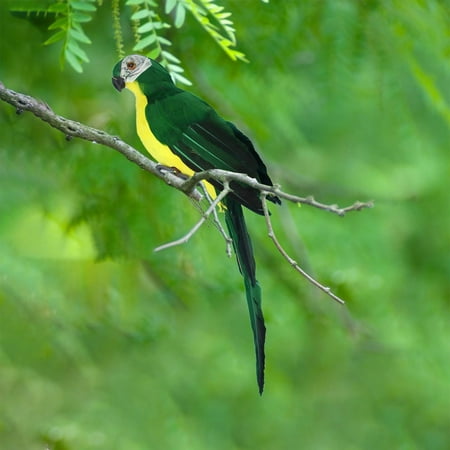 

Totil Hangs Dummy Feather Parrot Green Garden Decoration Bird Golden Steel Parrot Bird Feather Bird Foam Bird Clip Bird Decoration