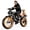 GT20 (Dual motor), variant on ASKGO GT16 Off-Road Electric Bike,750W Rated(3000W Peak) Motor, 28MPH&48V 25Ah&65 Mile Range, Dual Hydraulic Brakes,Full Suspension Vehicle, UL2849 Certified, Ages 16