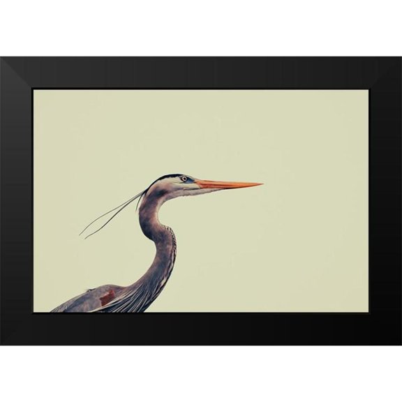 Viola, Vincenzo 14x11 Black Modern Framed Museum Art Print Titled - Heron