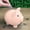 A2334 MORESEC under 5$, variant on MORESEC under $5 Piggy BankCute Piggy Bank for Kids, Shatterproof Vinyl Coin Bank for Boys Girls, Large Medium Small Sizes, Money Saving Bank with Slot, Lightweight Durable Pig Coin Bank