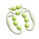 thumbnail image 1 of Rodillo de nueve ruedas para los músculos de las piernas., 1 of 5