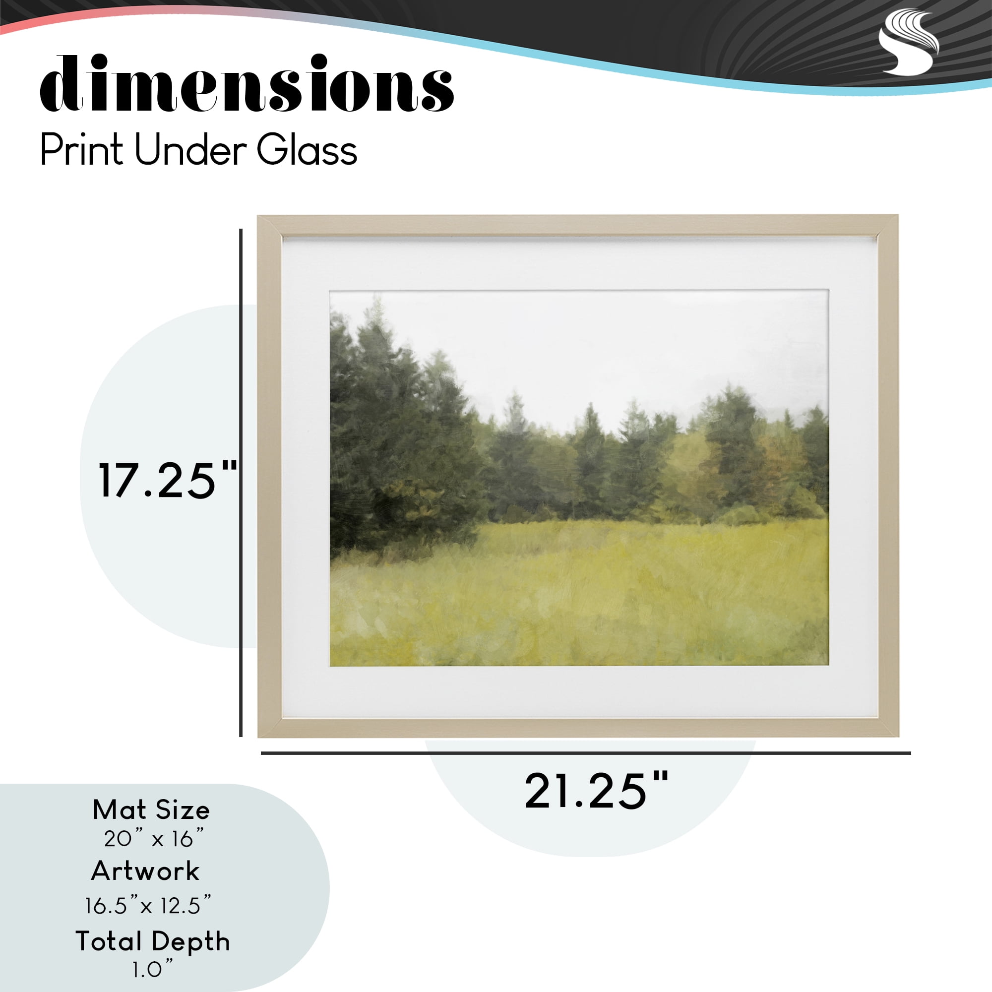 Stupell Industries The Forest's Vast Clearing Birch Framed Print Under Glass, design by Kim Curinga