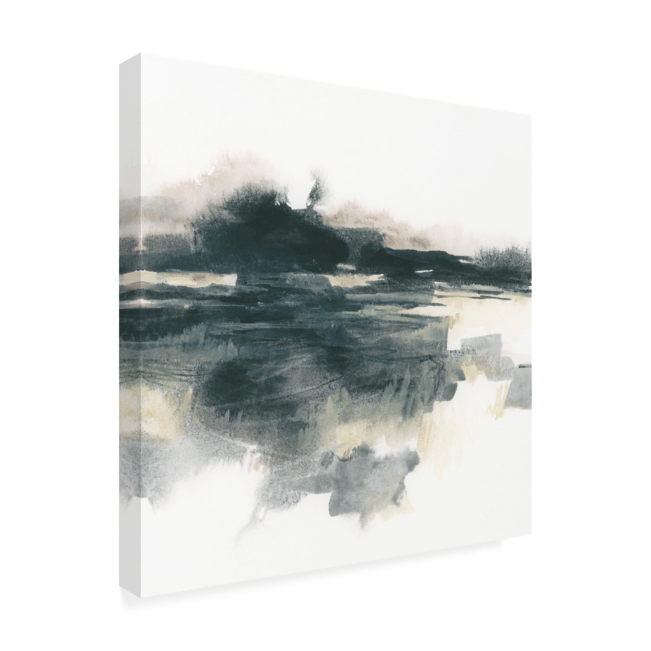 Trademark Fine Art June Erica Vess  Obsidian Field II Canvas Wall Art