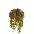 thumbnail image 1 of Planta artificial Fittonia en cesta colgante en forma de cono (Real Touch), 1 of 1