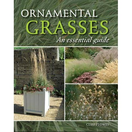 Ornamental Grasses An Essential Guide Walmart Com