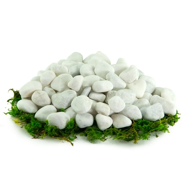 Decorative White Pebbles For Garden Shelly Lighting