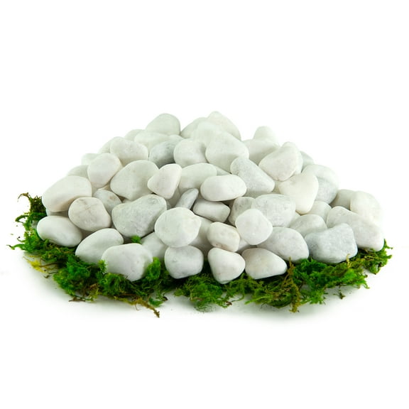 Porcelain White Pebbles | Garden & Potted Plants | 10 lbs, 1/4"
