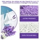 thumbnail image 4 of Perlas De Lavandería La fragancia de los sabores de la lavanda gotea el perfume del detergente de la lavadora del lavadero Wdftyju Libre de BPA, 4 of 8
