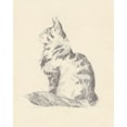 thumbnail image 2 of Green, Jacob 12x14 White Modern Wood Framed Museum Art Print Titled - House Cat II, 2 of 4