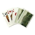 thumbnail image 1 of Mill Valley, California, Aerial View of City, Mt Tamalpais, Crooked Railroad, Lantern Press, Premium Playing Cards, 52 Card Deck with Jokers, USA Made, 1 of 5