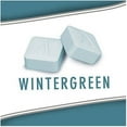 thumbnail image 4 of ALTOIDS Smalls Wintergreen Breath Mints Sugar Free Hard Candy Bulk, 0.37 oz Tin (Pack of 9), 4 of 7