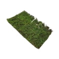 thumbnail image 4 of TISHITA Grass Tufts Model DIY Simulation Grass Cluster DIY Scenery Landscape Railway L L, 4 of 8