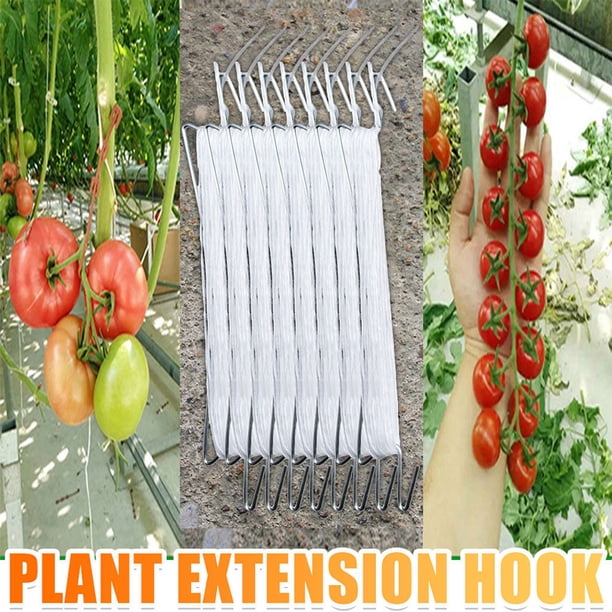 Fiudx Juego de Ganchos para Tomates, Ganchos de Soporte Duraderos para Invernaderos, Clips de Celosía Versátiles, Fácil Instalación para El Crecimiento de Plantas, Jardinería, Cultivo de Hortalizas y