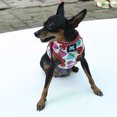 thumbnail image 2 of Dulce De Fresa Y Puntos Perrito Del Perro Del Arnés Cuello Caminar S Blancas Gloria Conjunto de correa de arnés, 2 of 9