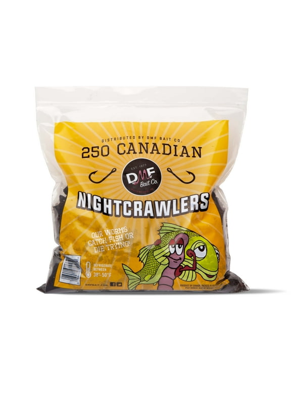 DMF Bait Co. Live Canadian Night Crawlers, Reusable Cooler, 250 Ct