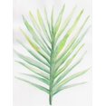 thumbnail image 2 of Varacek, Pam 12x14 White Modern Wood Framed Museum Art Print Titled - Thru The Foliage 3, 2 of 4